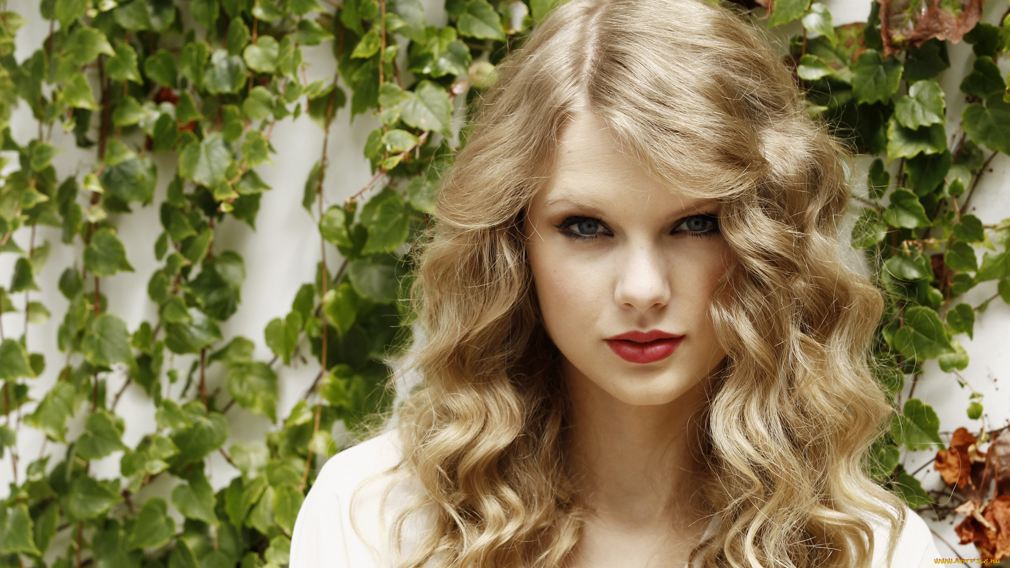 taylor swift, , , , taylor, swift